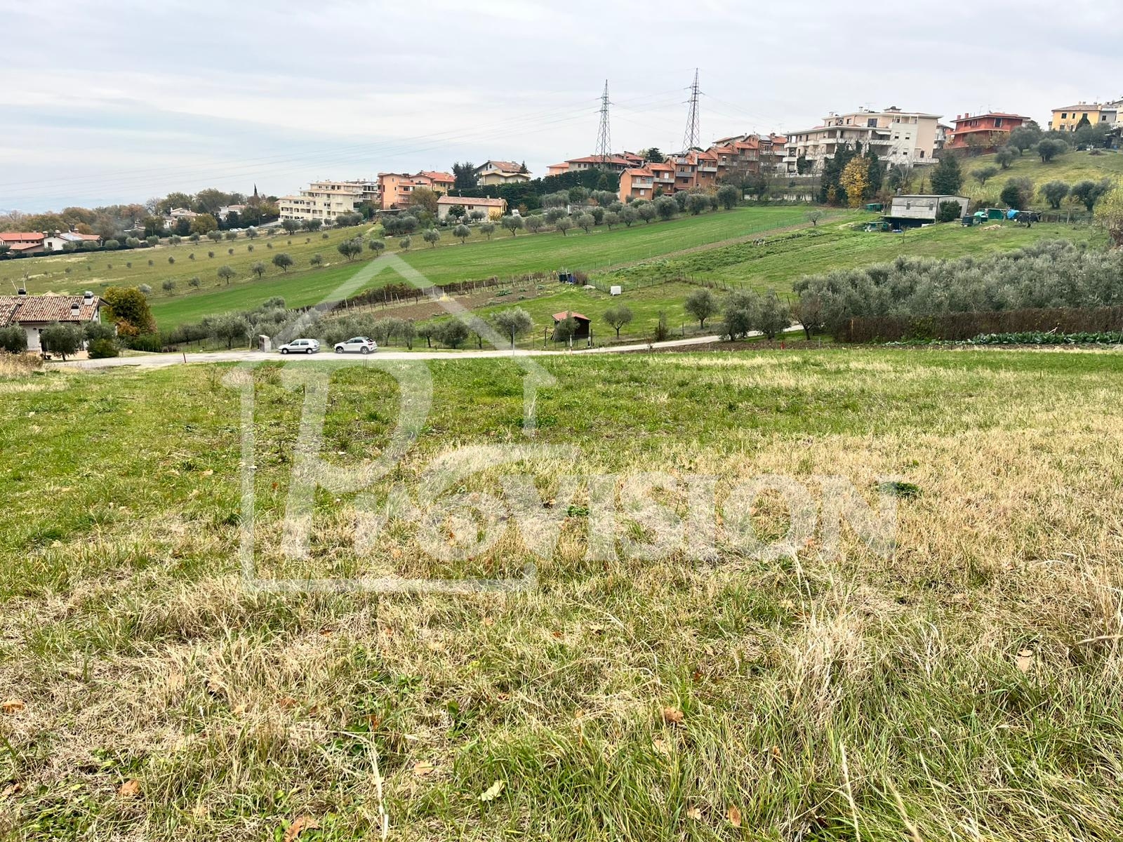 T/25 LOTTO AGRICOLO A CAILUNGO