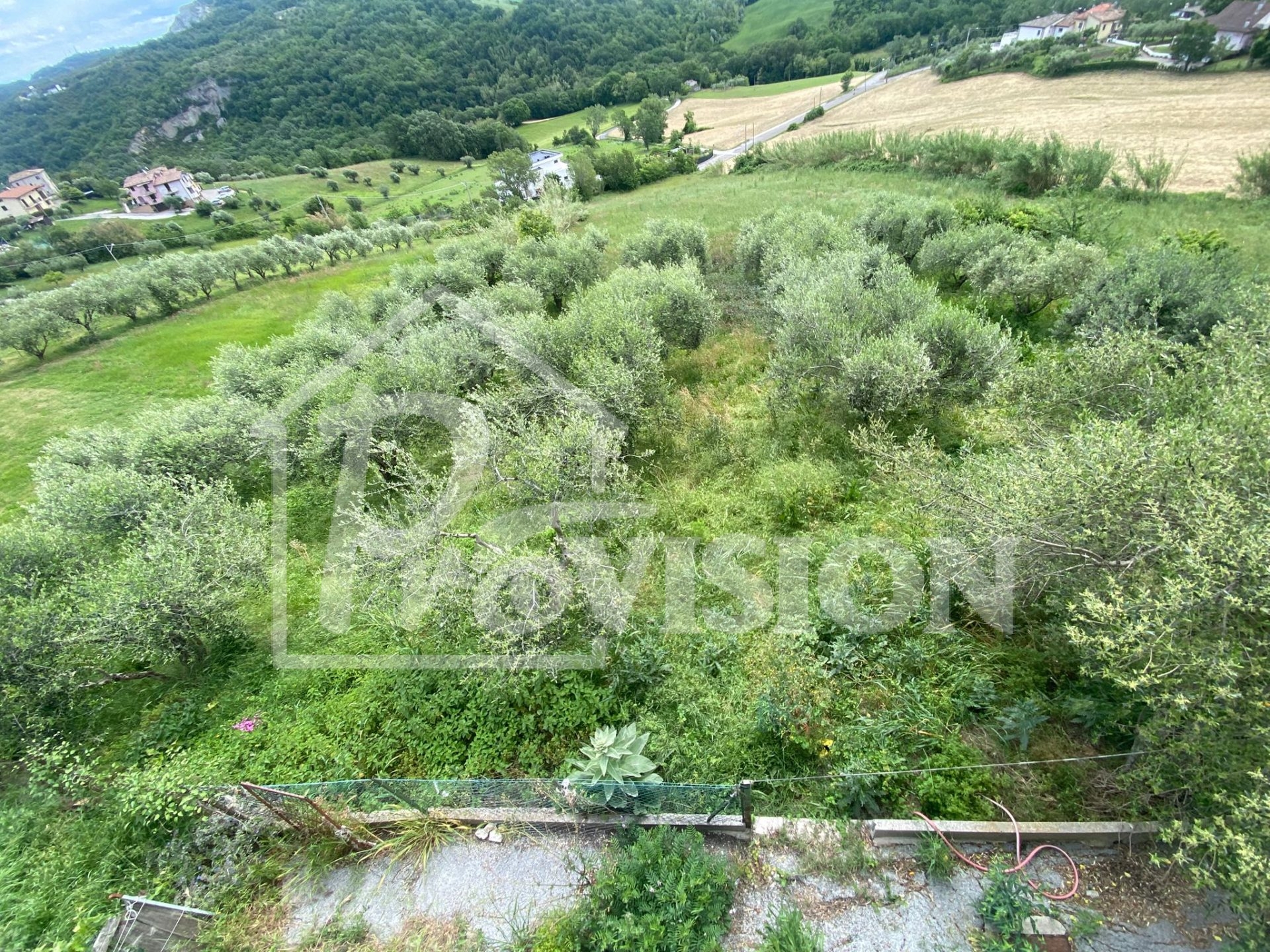RIF. T8/18 TERRENO EDIFICABILE MONTEGIARDINO